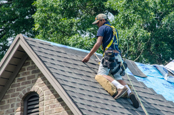 Best Roof Maintenance Services  in New Hope, AL